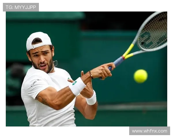 贝雷蒂尼：网球因呻吟声而性感